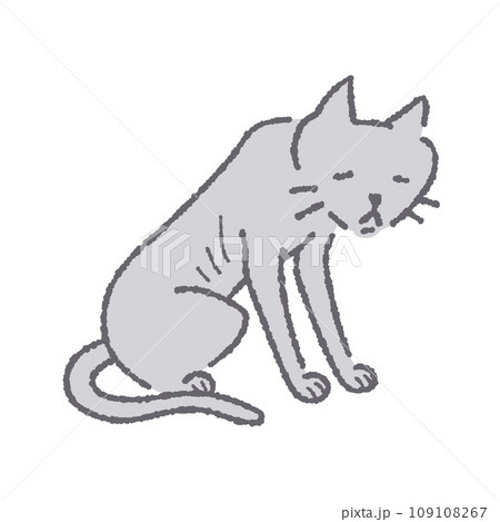 座っている痩せた猫 109108267