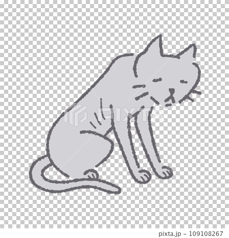 座っている痩せた猫 109108267