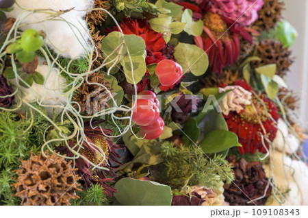 かわいいドアリース 109108343