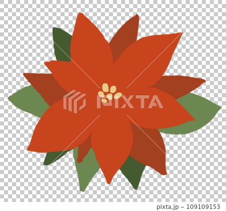 一品紅花 一品紅花 109109153