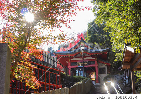 紅葉に彩られた秋のお寺 紅葉に彩られた秋のお寺 109109334