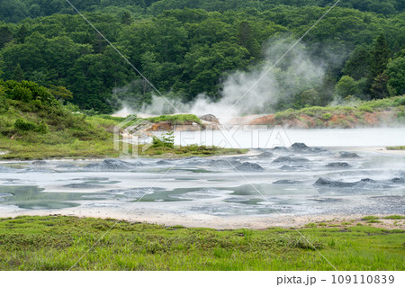 後生掛自然研究路 大湯沼 後生掛自然研究路 大湯沼 109110839