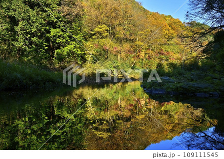 埼玉県嵐山町の紅葉する嵐山渓谷 109111545