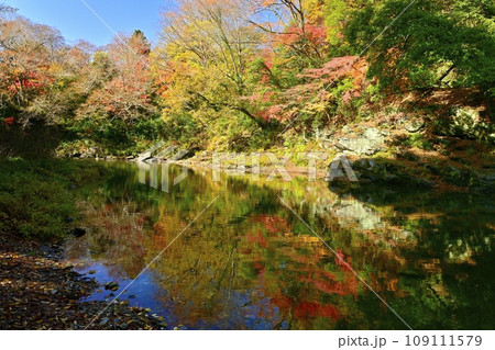 埼玉県嵐山町の紅葉する嵐山渓谷 109111579