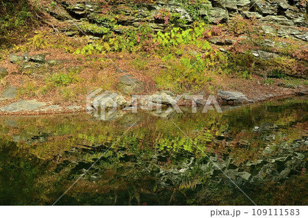 埼玉県嵐山町の紅葉する嵐山渓谷 109111583