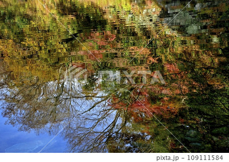 埼玉県嵐山町の槻川に倒影する紅葉の嵐山渓谷 109111584