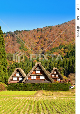 白川郷 世界遺産 合掌造り紅葉風景 白川郷 世界遺産 合掌造り紅葉風景 109111811