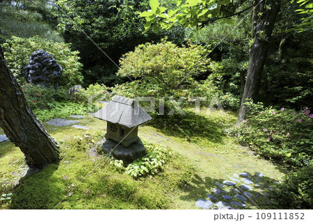 石川県金沢市玉泉園 109111852