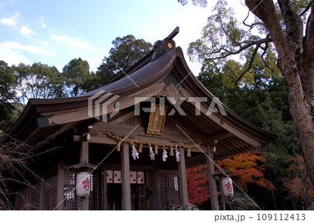 紅葉に包まれた神社 　竈門神社境内の風景 109112413