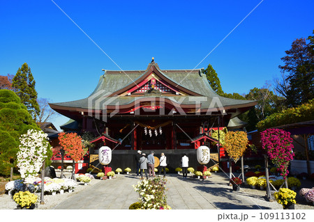 茨城県笠間市の菊祭り 茨城県笠間市の菊祭り 109113102