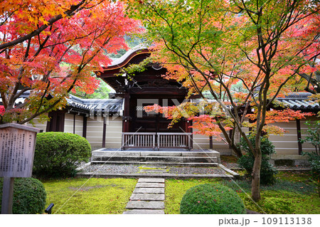 永観堂の紅葉 109113138