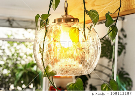 Glass lamp, ceiling light in modern cozy interior. 109113197