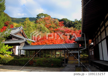 北九州市の広寿山福聚寺と紅葉が綺麗なもみじ【入口門】 北九州市の広寿山福聚寺と紅葉が綺麗なもみじ【入口門】 109113257