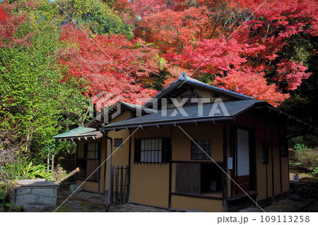 北九州市の広寿山福聚寺と紅葉が綺麗なもみじ【入口門】 北九州市の広寿山福聚寺と紅葉が綺麗なもみじ【入口門】 109113258
