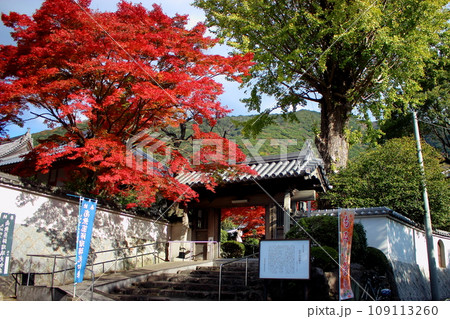 北九州市の広寿山福聚寺と紅葉が綺麗なもみじ【入口門】 北九州市の広寿山福聚寺と紅葉が綺麗なもみじ【入口門】 109113260