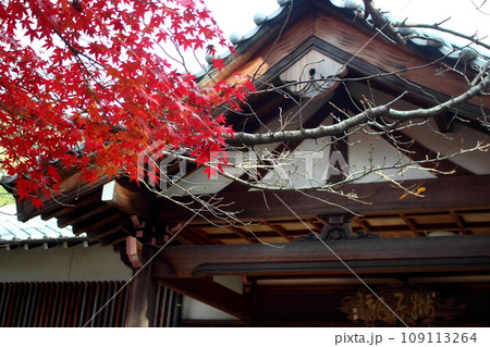 北九州市の広寿山福聚寺と紅葉が綺麗なもみじ【入口門】 109113264