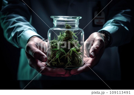 The laboratory doctor holds a glass jar of marijuana in his hands. The laboratory doctor holds a glass jar of marijuana in his hands. 109113491