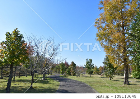 秋の朝熊山麓公園 109113649
