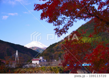 鮮やかな丹沢湖の紅葉 109113720