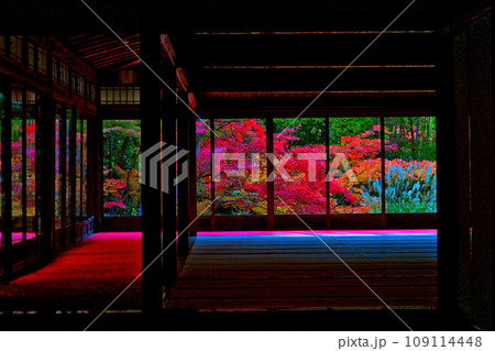 天授庵の紅葉 109114448