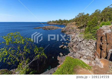 Valaam Island, rocky coast and pine trees growing on it 109114559