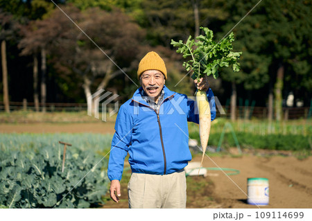 野菜を手に持つ農家の男性　 109114699