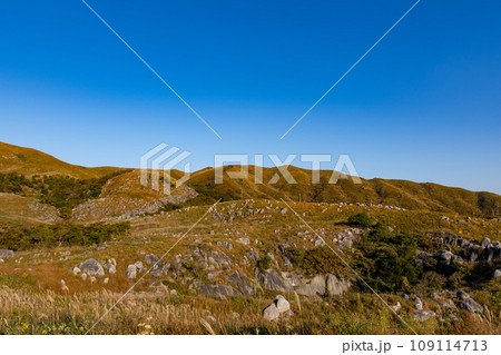快晴の平尾台 109114713