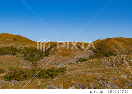 夕暮れの平尾台 109114715