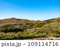 平尾台の地平線 109114716