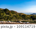 午後の平尾台 109114719