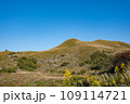 快晴の平尾台 109114721
