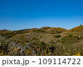 快晴の平尾台 109114722