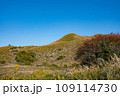 晴れの平尾台 109114730