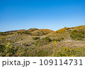 晩秋の平尾台 109114731