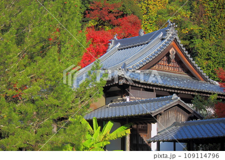 北九州市の広寿山福聚寺 109114796