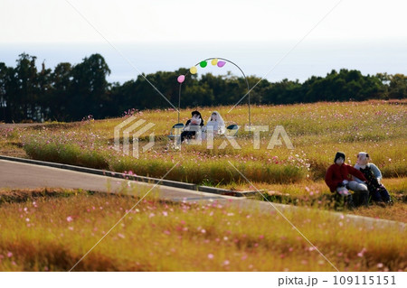 田舎の案山子　かかし 109115151