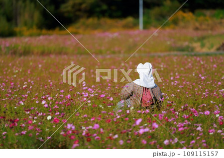 田舎の案山子　かかし 109115157