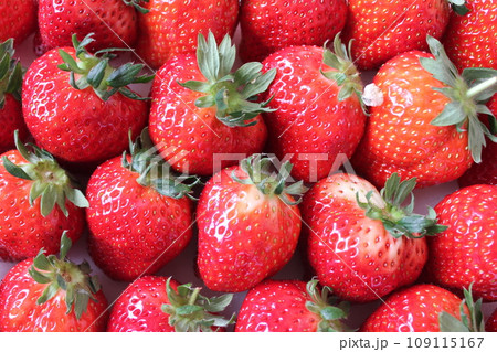 ▼▼いちご▼いちご▼苺▼▼ ~¨* Strawberry *¨~ ▼▼いちご▼いちご▼苺▼▼ ~¨* Strawberry *¨~ 109115167