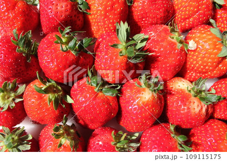 ▼▼いちご▼いちご▼苺▼▼　　　～¨* Strawberry *¨～ 109115175
