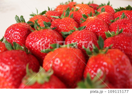▼▼いちご▼いちご▼苺▼▼　　　～¨* Strawberry *¨～ 109115177