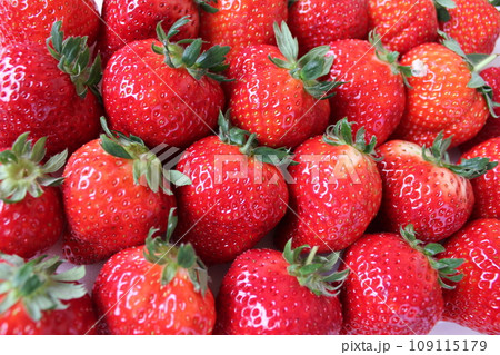 ▼▼いちご▼いちご▼苺▼▼　　　～¨* Strawberry *¨～ 109115179