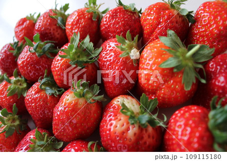 ▼▼いちご▼いちご▼苺▼▼　　　～¨* Strawberry *¨～ 109115180