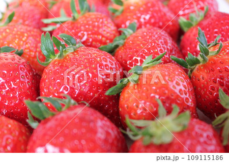 ▼▼いちご▼いちご▼苺▼▼ ~¨* Strawberry *¨~ ▼▼いちご▼いちご▼苺▼▼ ~¨* Strawberry *¨~ 109115186