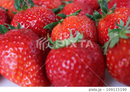 ▼▼いちご▼いちご▼苺▼▼　　　～¨* Strawberry *¨～ 109115190