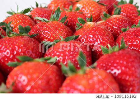 ▼▼いちご▼いちご▼苺▼▼ ~¨* Strawberry *¨~ ▼▼いちご▼いちご▼苺▼▼ ~¨* Strawberry *¨~ 109115192