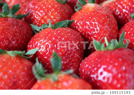 ▼▼いちご▼いちご▼苺▼▼ ~¨* Strawberry *¨~ ▼▼いちご▼いちご▼苺▼▼ ~¨* Strawberry *¨~ 109115193