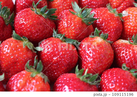 ▼▼いちご▼いちご▼苺▼▼　　　～¨* Strawberry *¨～ 109115196