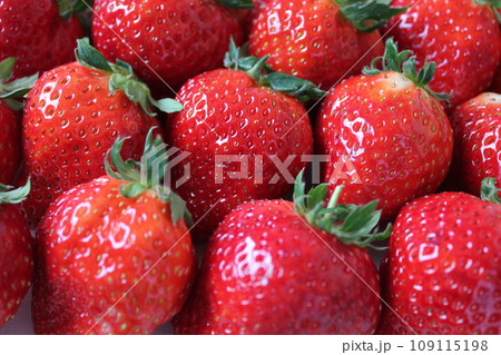 ▼▼いちご▼いちご▼苺▼▼　　　～¨* Strawberry *¨～ 109115198