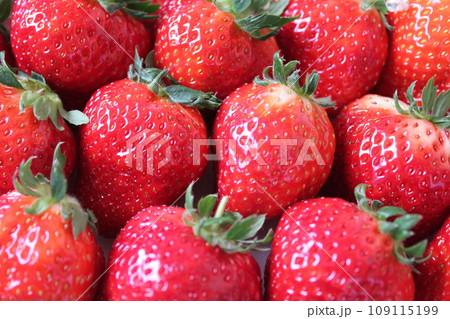 ▼▼いちご▼いちご▼苺▼▼ ~¨* Strawberry *¨~ ▼▼いちご▼いちご▼苺▼▼ ~¨* Strawberry *¨~ 109115199