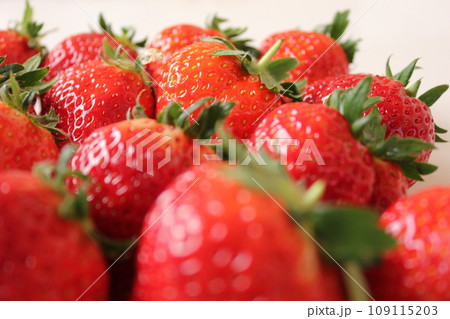 ▼▼いちご▼いちご▼苺▼▼ ~¨* Strawberry *¨~ ▼▼いちご▼いちご▼苺▼▼ ~¨* Strawberry *¨~ 109115203